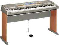 Casio WK-8000 Keyboard