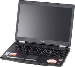 Toshiba Tecra A4-234 (DDR2) laptops