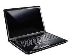 Toshiba Satellite P300-1GN laptops