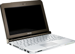 Toshiba NB250-101 laptops