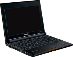 Toshiba NB550D-029 laptops